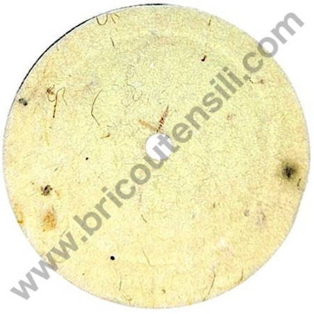 Pistone per Gruppo Pompante Fiac AB 248-338-360