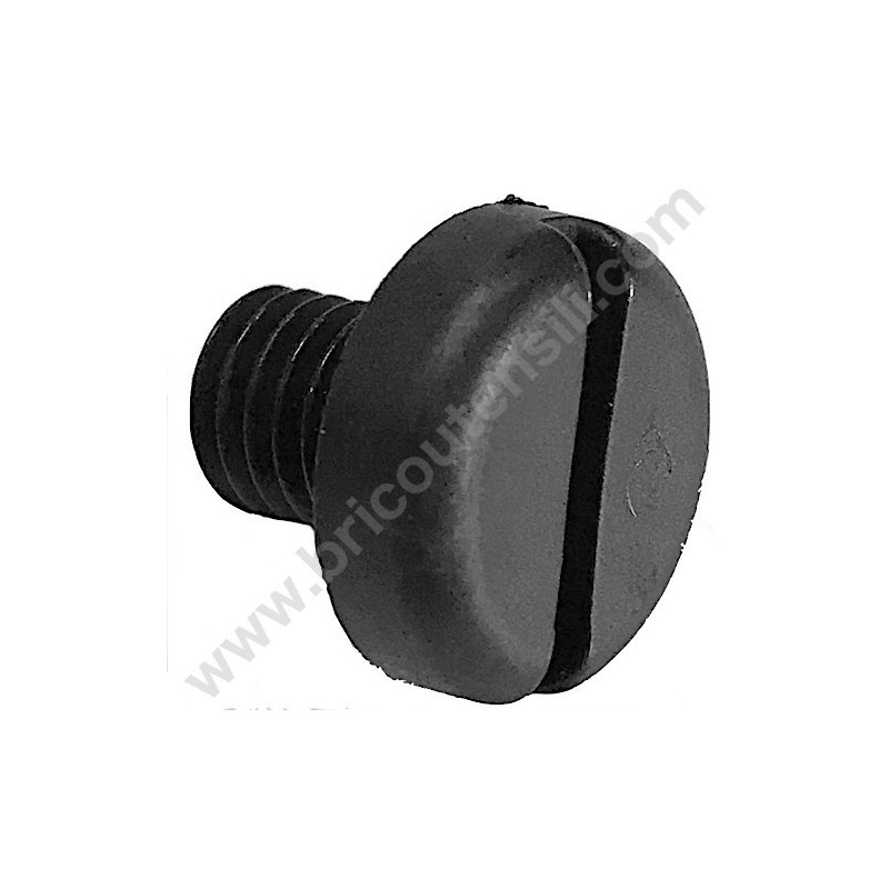 Screw mm 8x10 PA 6.6 Din 85 for Polisher FLEX XFE 7-15