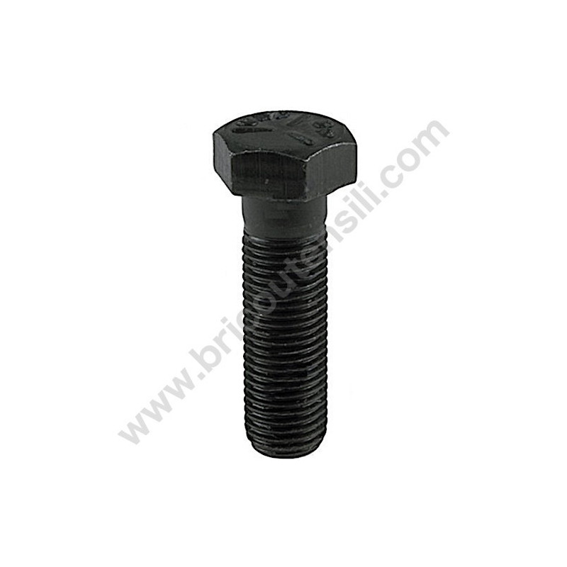 Blade Special Bolt D. 3/8" - 24 - mm 63.4 for Lawnmower AMA