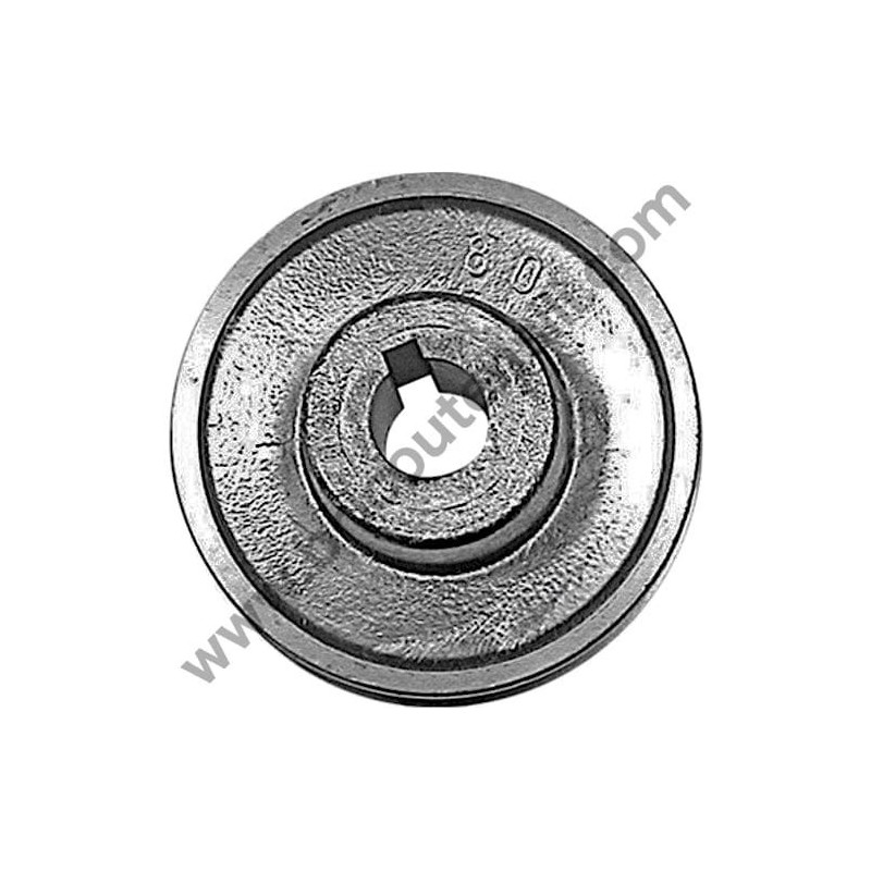 Pulegge per Motori Elettrici