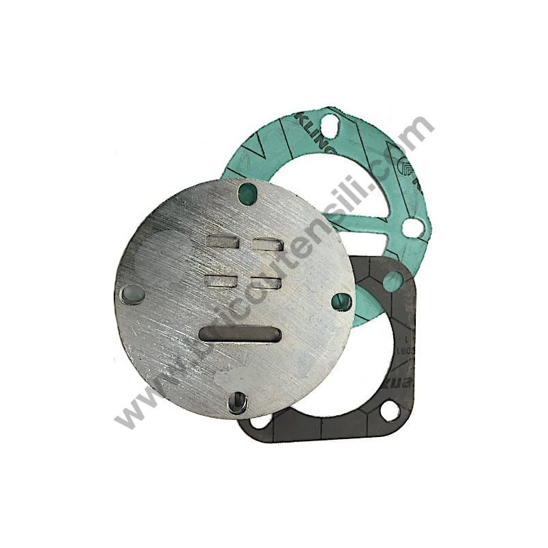 Valves Plate Kit for Puming Units Fiac GM 191