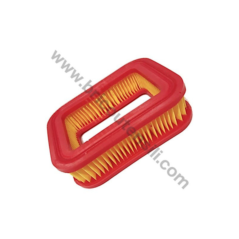 Air Filter for Petrol Engine Alpina RSC 100 OHV