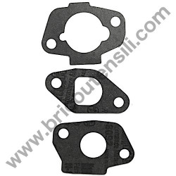 Carburator Gasket Set for Petrol Engine Alpina RSC 100 OHV - 2
