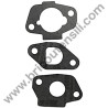 Carburator Gasket Set for Petrol Engine Alpina RSC 100 OHV - 2