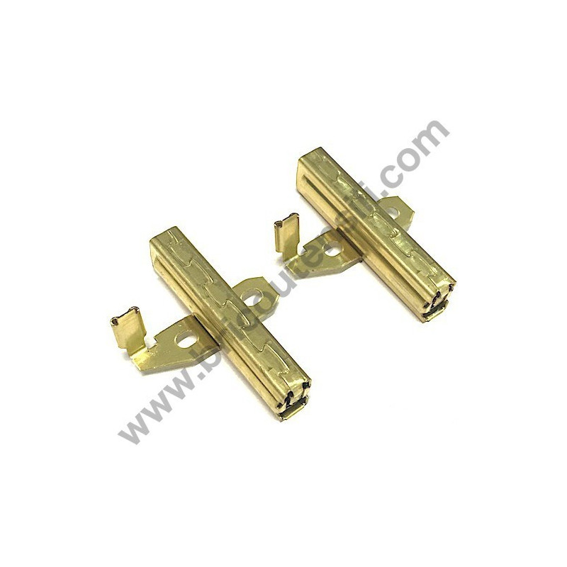 Portaspazzole e Spazzole per Motore Aspiratore Rurmec 35/1100