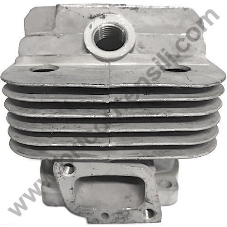 Cilindro per Decespugliatore Alpina TB 420