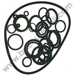Kit Gaskets OR for Pressure Washers AR Blue Clean 737-747