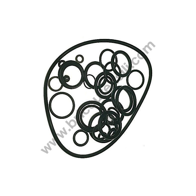 Kit Gaskets OR for Pressure Washers AR Blue Clean 737-747