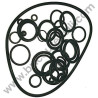 Kit Gaskets OR for Pressure Washers AR Blue Clean 737-747