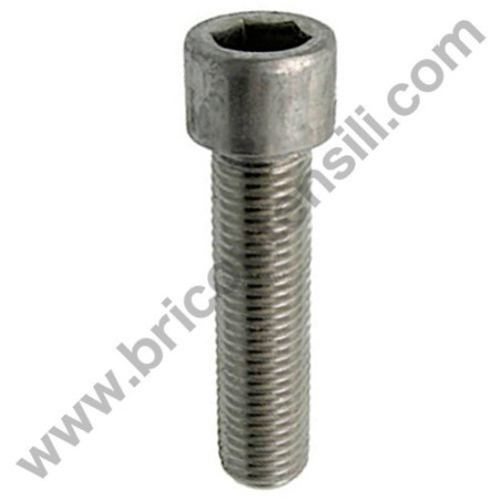 Bullone Sx Ferma Lama per Troncatrice Compa ORANGE 250/01