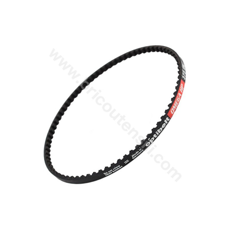 Cinghia per Levigatrice a Testa Piana LL 1107 VEA