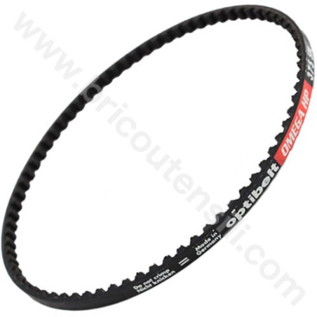 Cinghia per Levigatrice a Testa Piana LL 1107 VEA