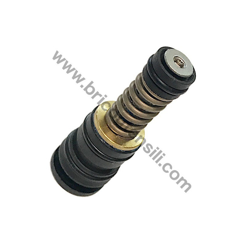 Compensated Valve Assy for Pressure Washer Lavor Independent 1900