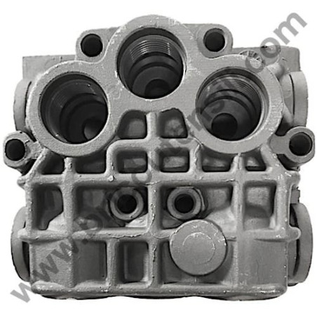 Pump Head for Pressure Washer ARSG Blitz - 10.12