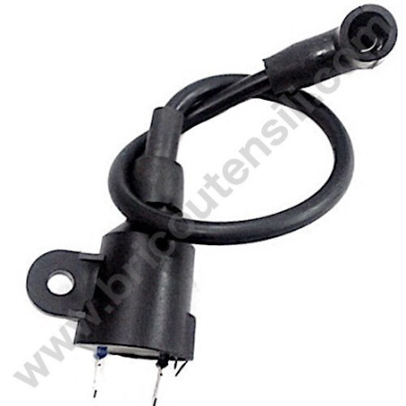 Bobina Alta Tensione per Generatore Yamato G 800