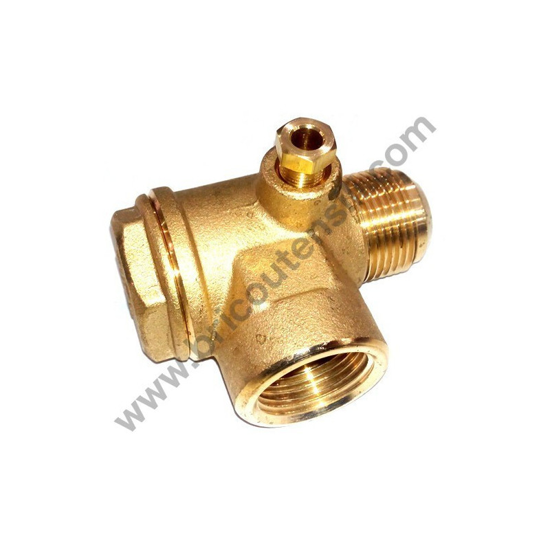 Check Valve F-M 3/4"-3/4'' for Air Compressors
