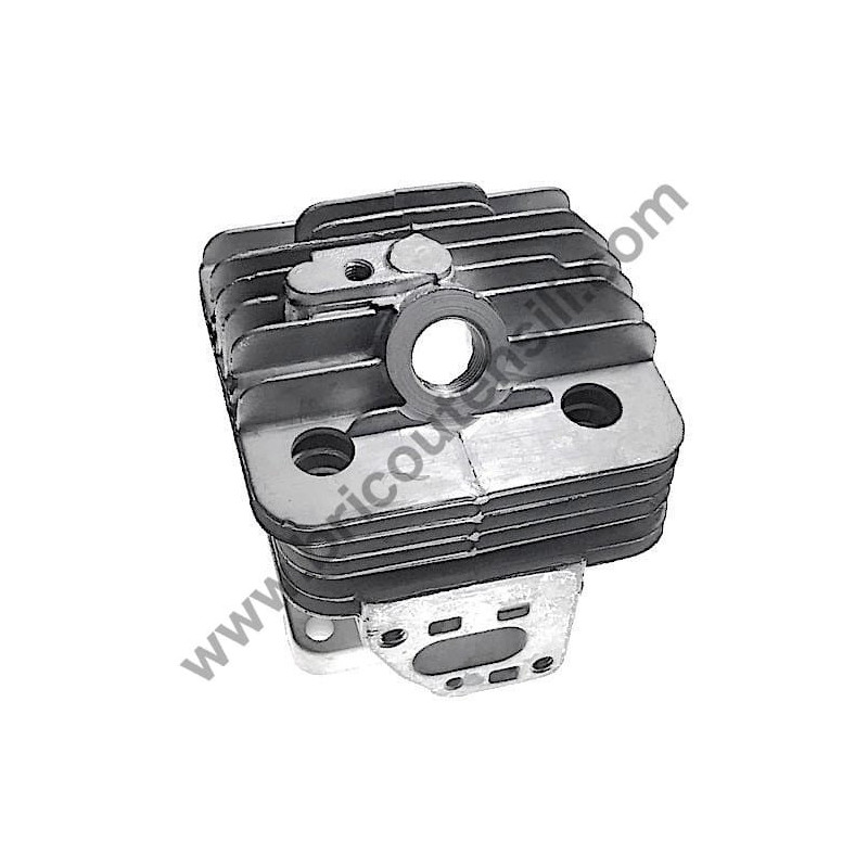 Starter per Avviamento Decespugliatore