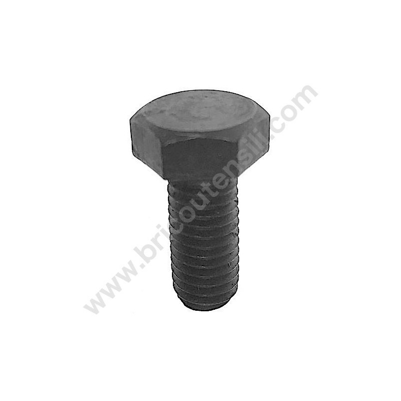 Disk locking Left Thread Screw for Mitre Saw Stayer SC250W