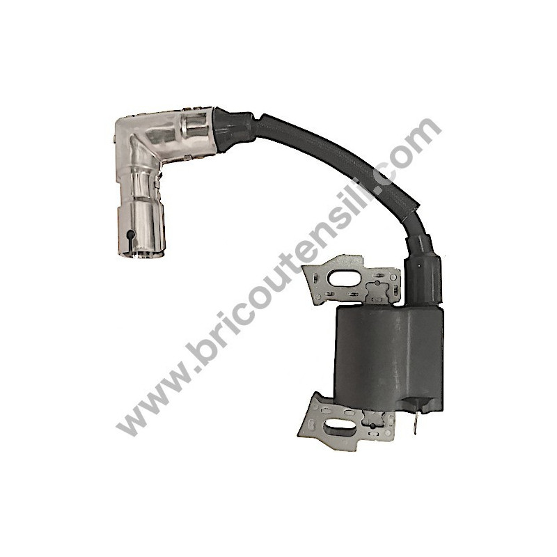 Ricambi Hitachi per Motosega da Potatura Hitachi CS25EC-SC