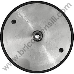 Ruota Motrice per Segatrice a Natro Compa WS1000