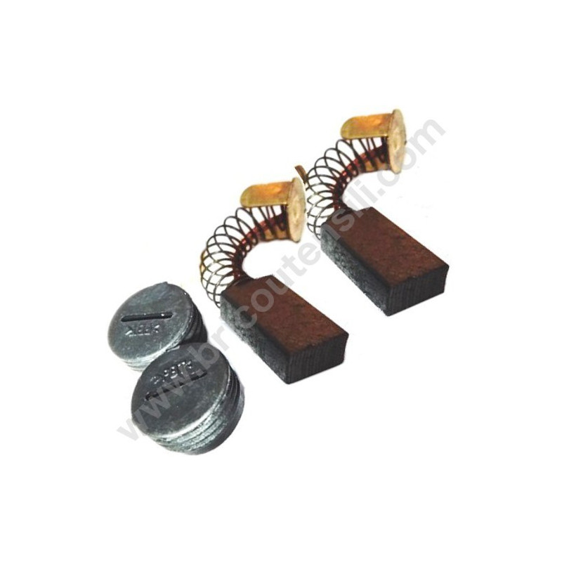 Carboncini per Miscelatore Varo POWX085