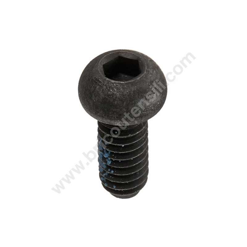 Hex Socket Bolt M6x25 for Hedge Trimmers Hitachi CH22EBP2