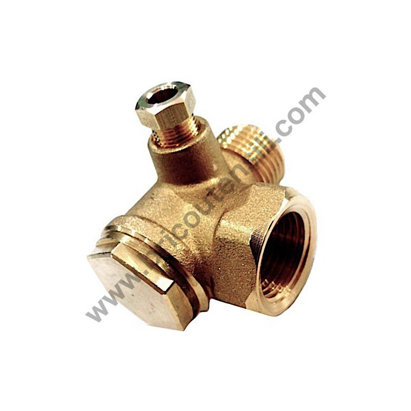Check Valve F-M 1/2''-1/2'' for Air Compressors