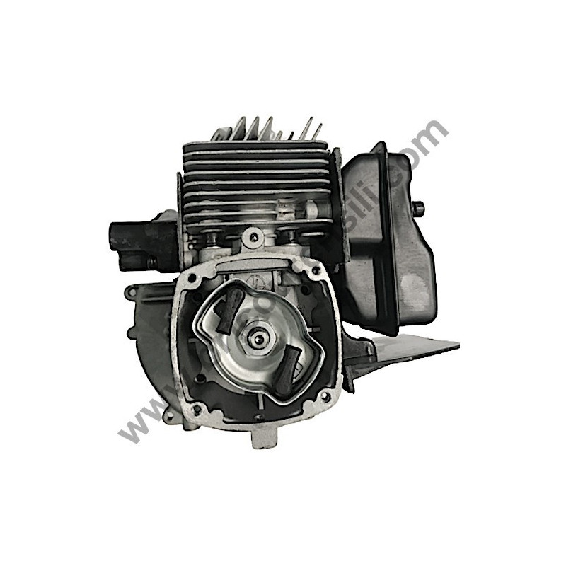 Engine Assembly Complete for Edge Trimmer Papillon HT 25/55