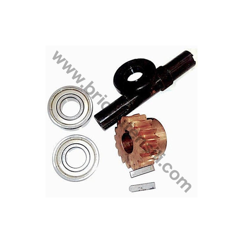 Ruota Elicoidale per Troncatrice Valex TN100