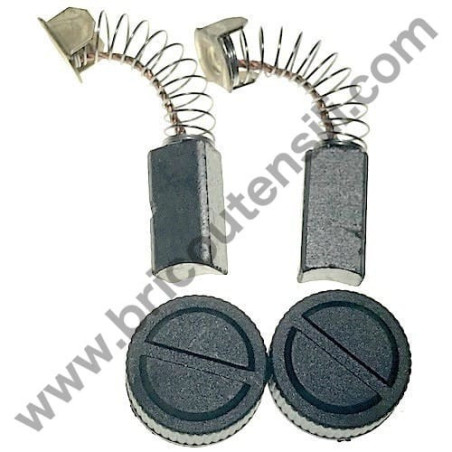 Coppia Spazzole e Tappi per Motore 12V Scuotiolive Valex 1493914