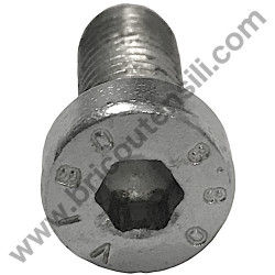 Pistone per Gruppo Pompante Fiac AB 248-338-360