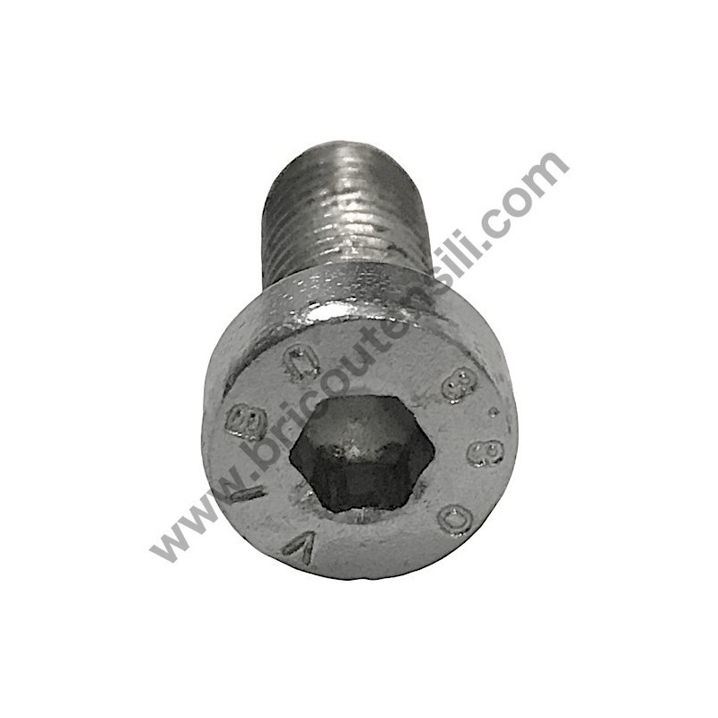 Pistone per Gruppo Pompante Fiac AB 248-338-360