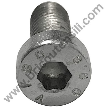 Vite Speciale M8x20 UNI-5931 per Motore Gruppo Pompante Fiac S15