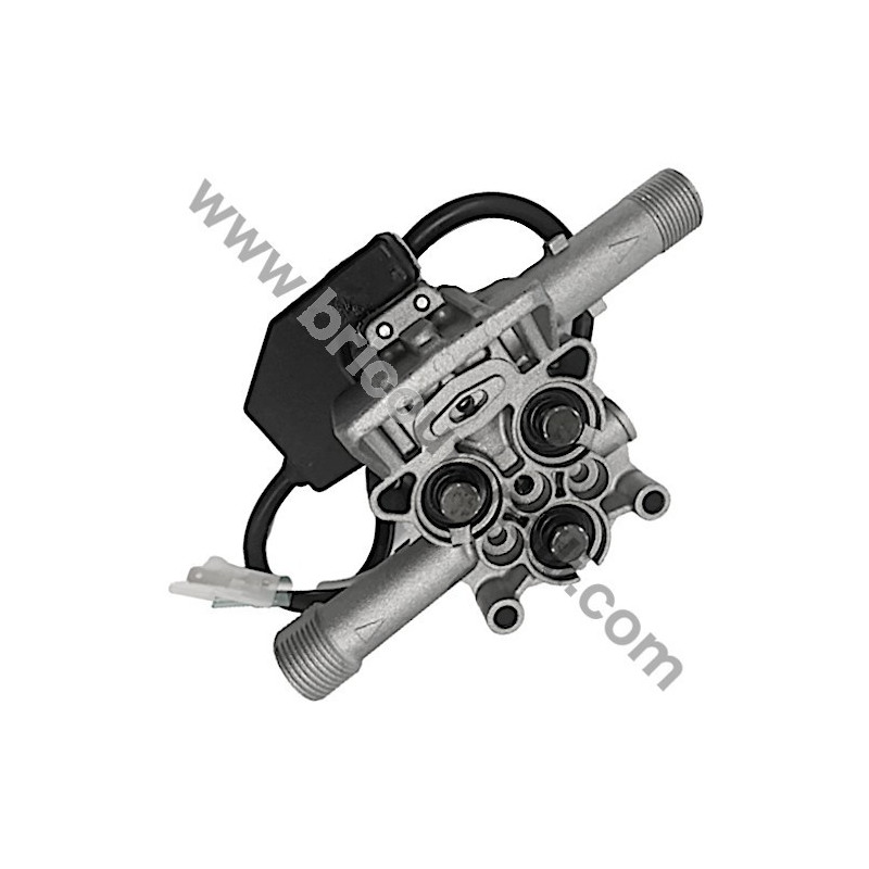 Piston Guide Body With Complete Valve Head for Lavor Missouri