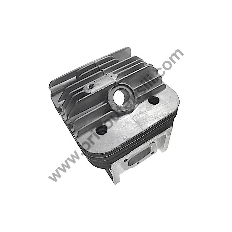 Starter per Avviamento Decespugliatore