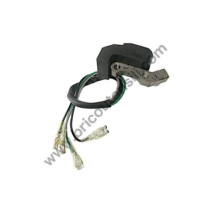 Bobina Accensione per Generatore e Motopompa POCKET 1000-MP15000