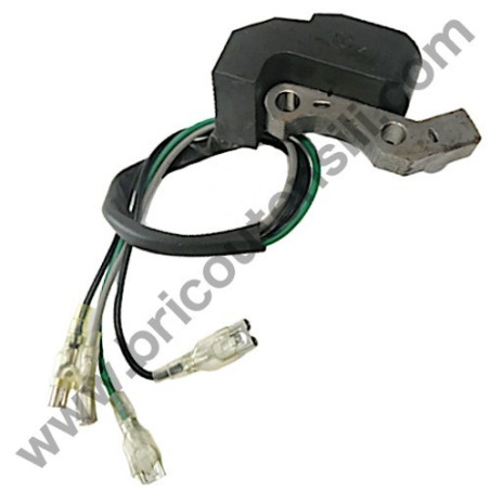 Bobina Accensione per Generatore e Motopompa POCKET 1000-MP15000
