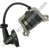 Electronic Coil for Petrol AUGER Valex AUGER 50