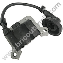 Electronic Coil for Petrol AUGER Valex AUGER 50