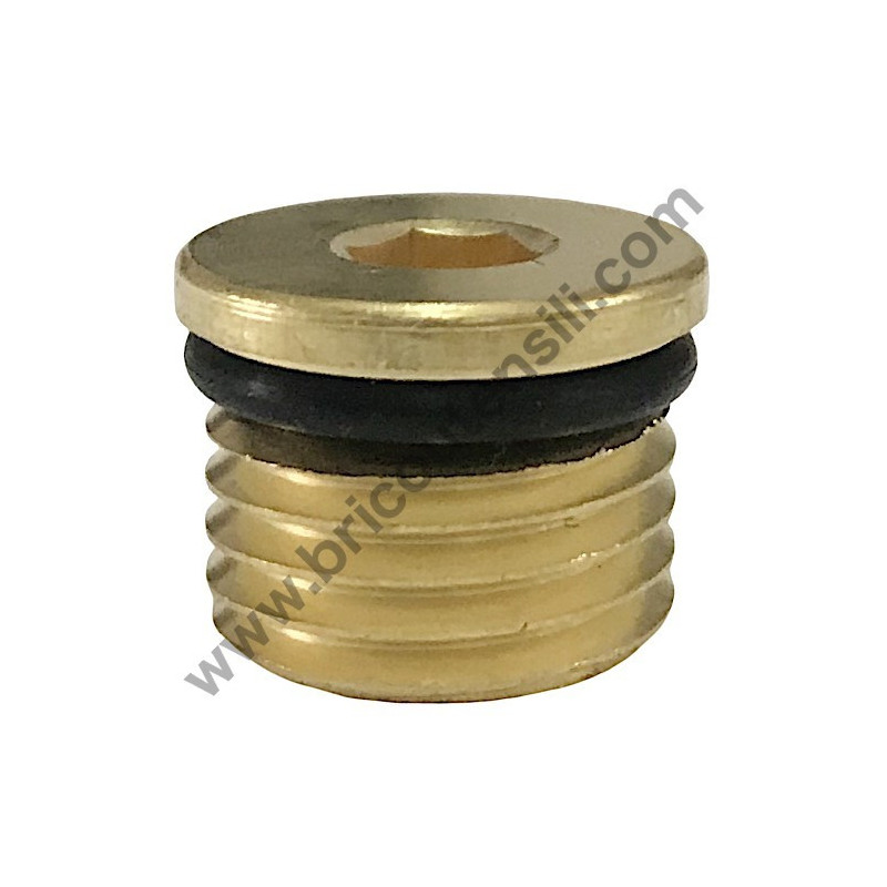 Delivery Valve Brass Cap for Pressure Cleaner Lavor Missouri