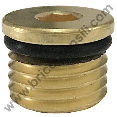 Delivery Valve Brass Cap for Pressure Cleaner Lavor Missouri