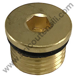 Delivery Valve Brass Cap for Pressure Cleaner Lavor Missouri