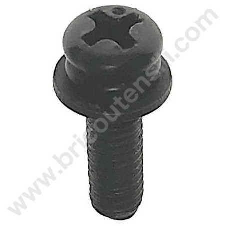 Oil Pump Block Screw for Chainsaw Alpina A 305-C 25-A 2500