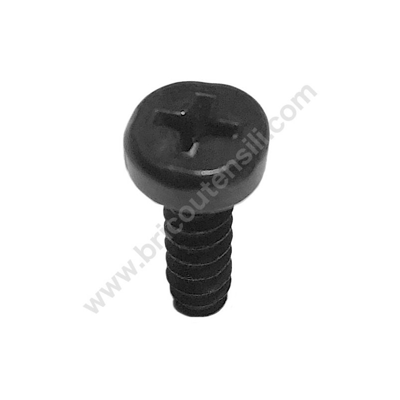 Vite Coperchio Pompa Olio per Motosega Alpina A 305