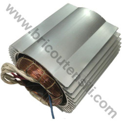 Statore Motore Induzione per Troncatrice FEMI TR250-I