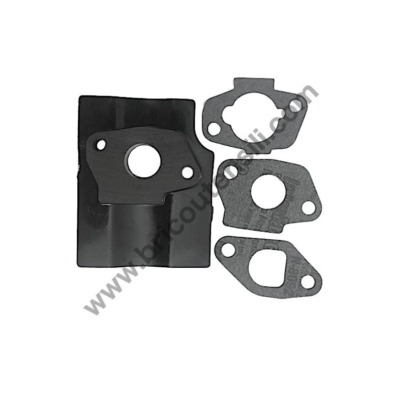 Carburator Gasket Set for Petrol Engine Alpina RSC 100 OHV