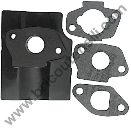 Assieme Guarnizioni Carburatore per Motore Alpina RSC 100 OHV