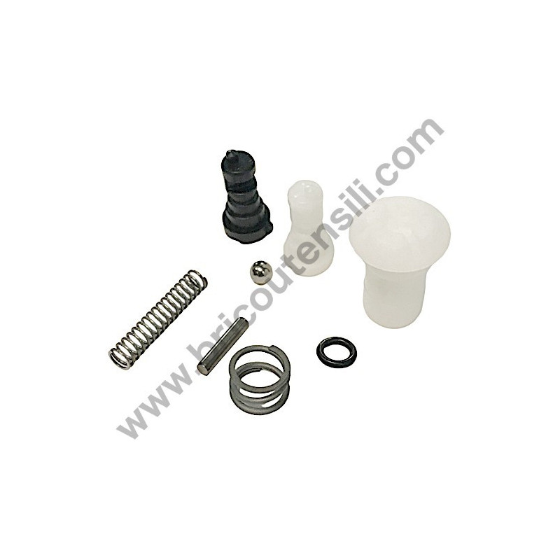 Kit Riparazione Pompa Olio per Motosega Dolmar PS43/38