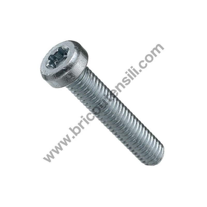Vite Torx M5x55 per Carburatore Decespugliatori Alpina