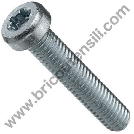Vite Torx M5x55 per Carburatore Decespugliatori Alpina